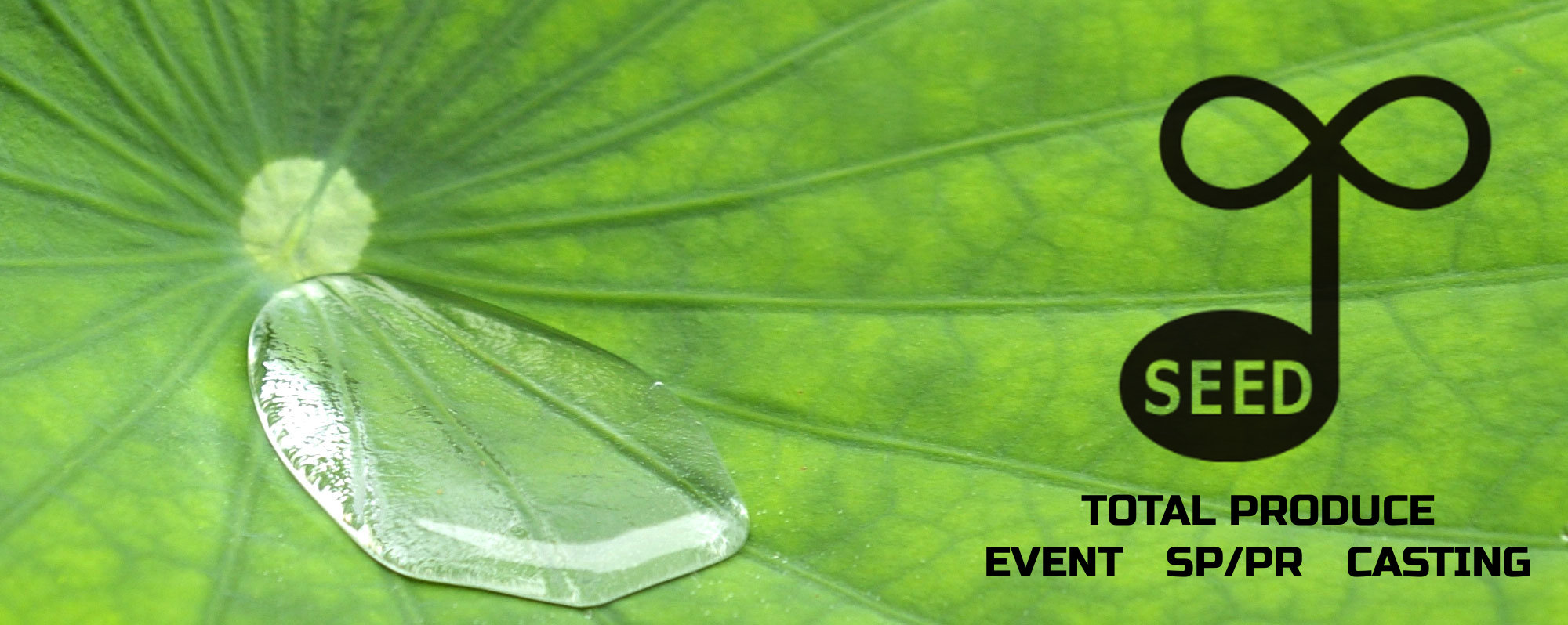 シード合同会社